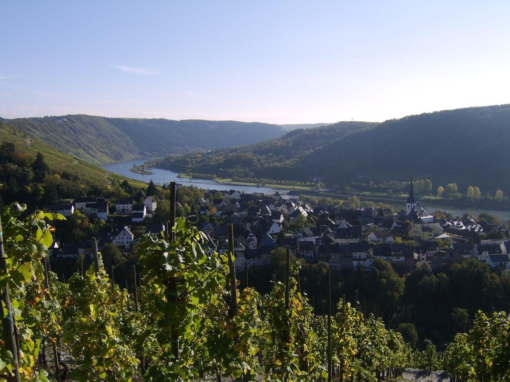 Weingut Matthias Dauns Reil