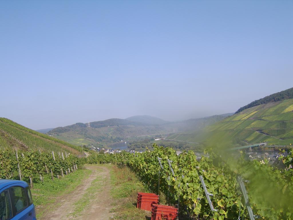 Апартаменты Weingut Matthias Dauns Рейл