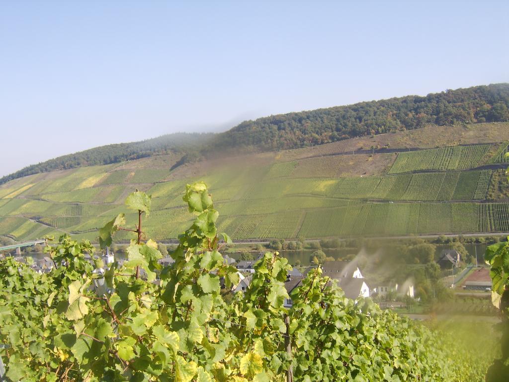 Weingut Matthias Dauns Апартаменты