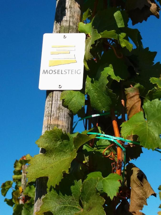 Апартаменты Weingut Matthias Dauns