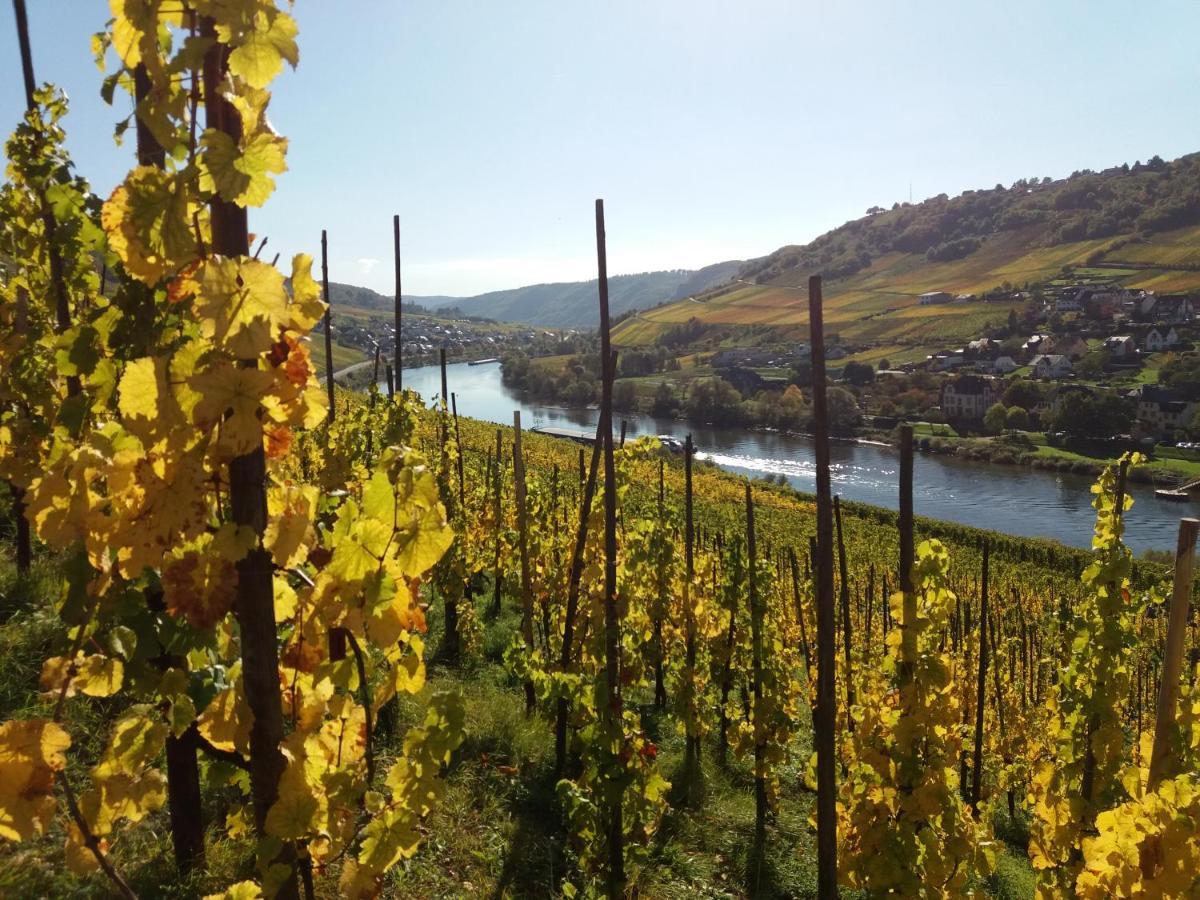 Weingut Matthias Dauns * Reil