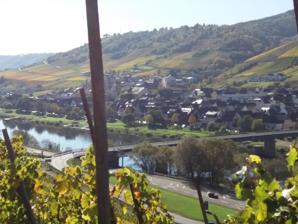 Apartment Weingut Matthias Dauns *